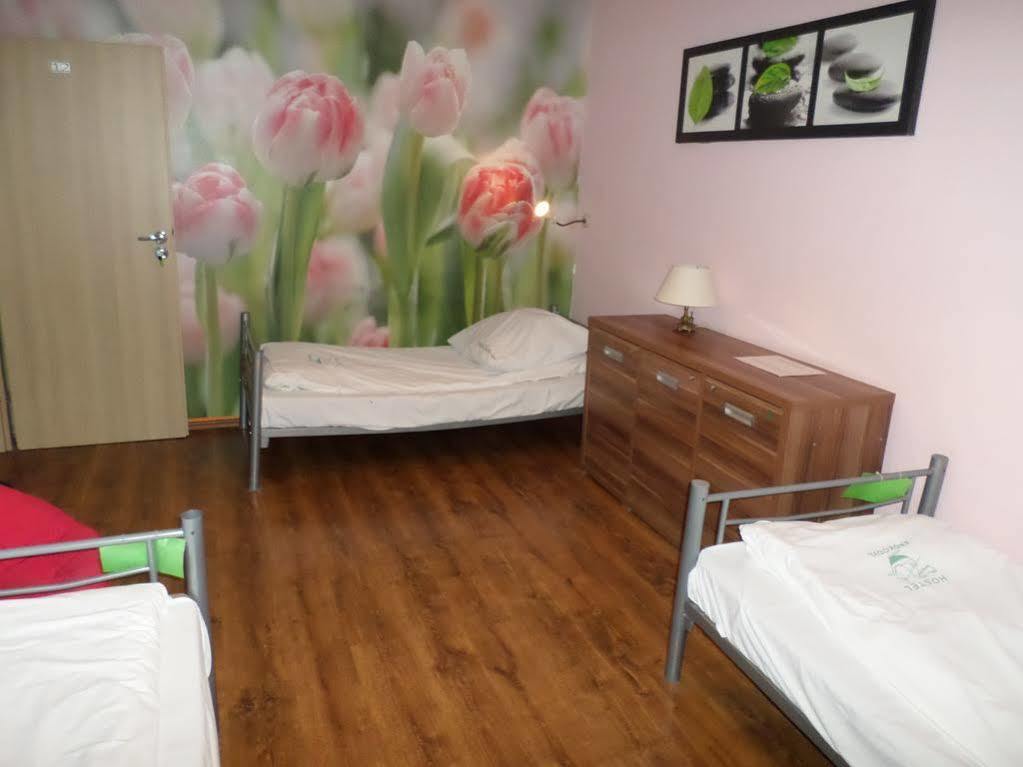 Krokodyl Hostel *
